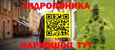 гашик Волжск